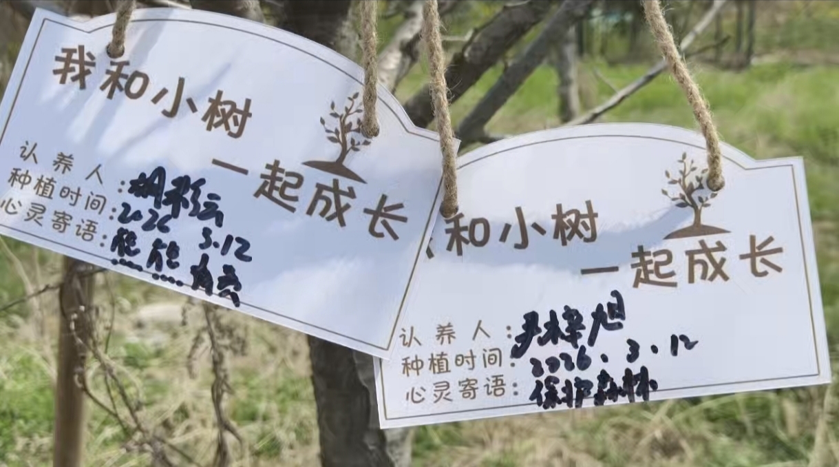 1773386409120611.jpg IMG_20260312_163400.jpg